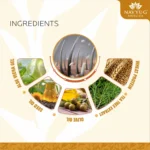 REGROWTH SHAMPOO - Image 3